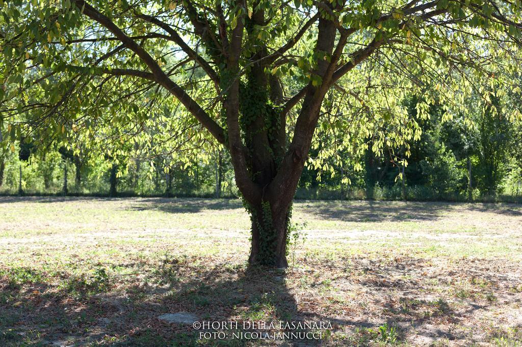 Horti Della Fasanara Pension Ferrara Buitenkant foto